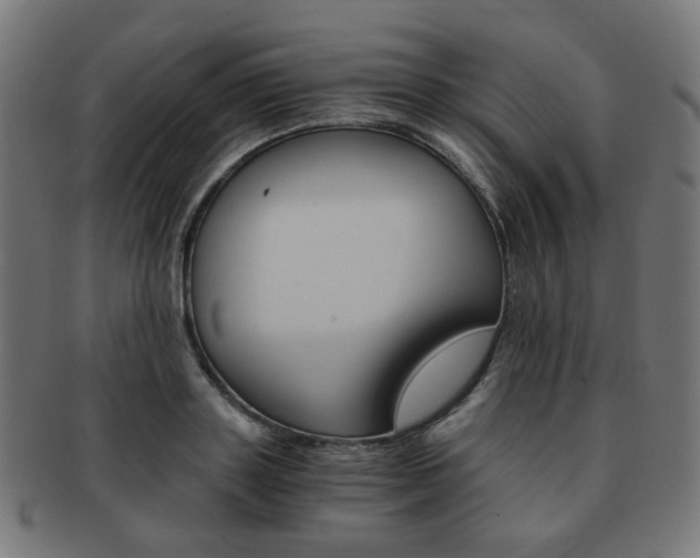 X0000092020843200709061328
