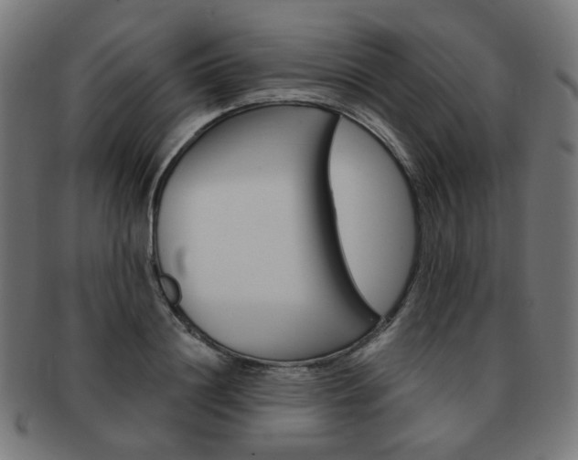 X0000092020844200709061328