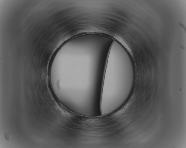 X0000092020845200709061328