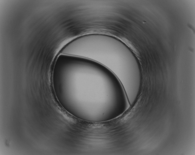 X0000092020846200709061328