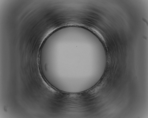 X0000092020847200709061328