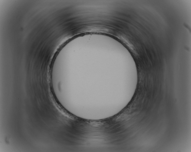 X0000092020848200709061328