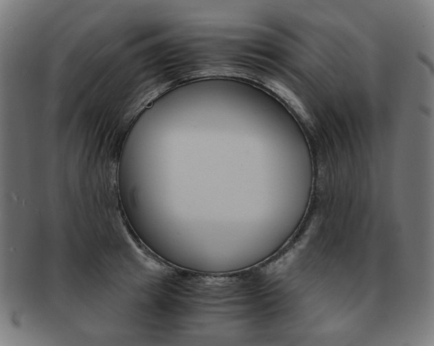 X0000092020849200709061328