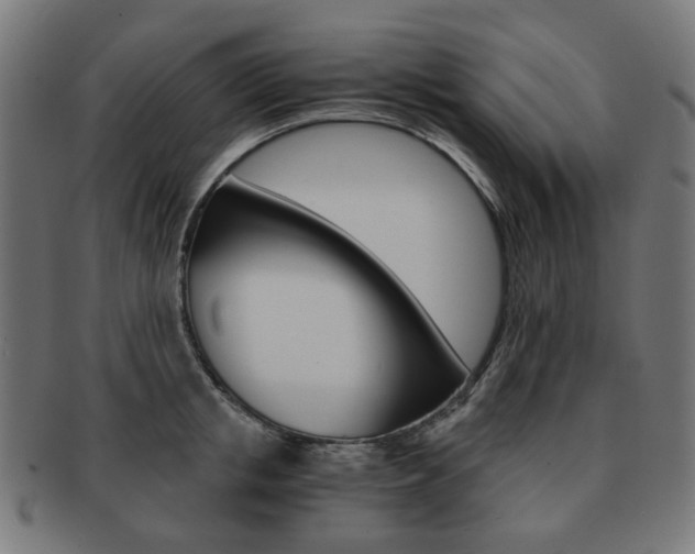 X0000092020853200709061328