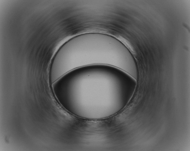 X0000092020854200709061328