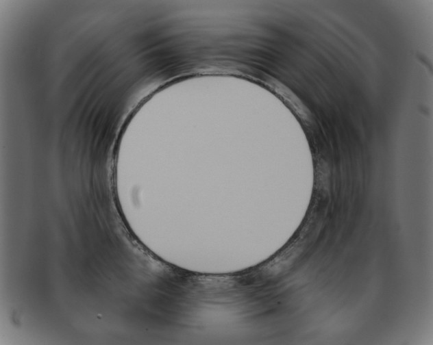 X0000092020856200709061328