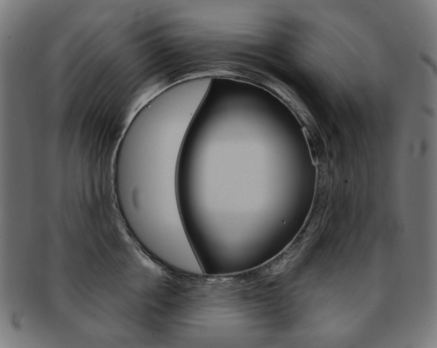X0000092020858200709061328