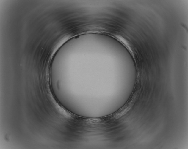 X0000092020859200709061328