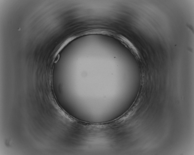 X0000092020860200709061328