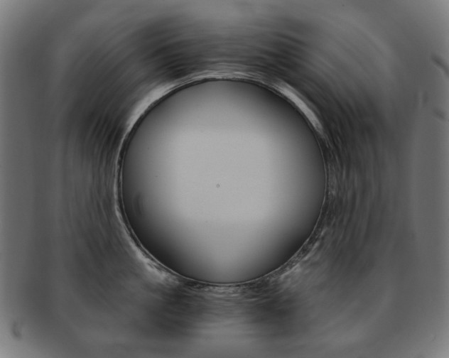X0000092020861200709061328