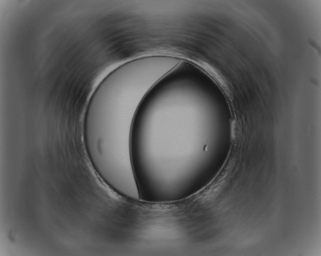 X0000092020862200709061328