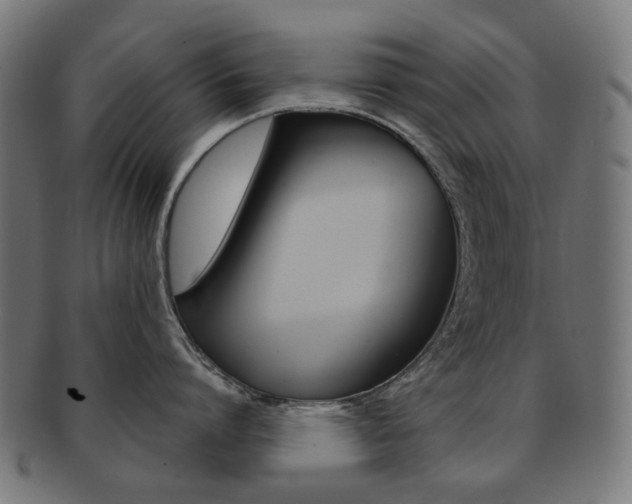 X0000092020864200709061328