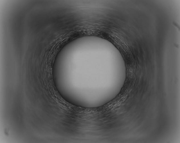 X0000092020865200709061328