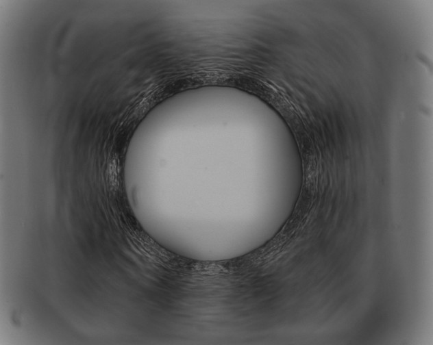 X0000092020866200709061328