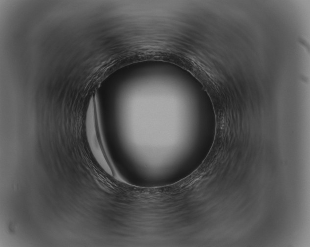 X0000092020868200709061328