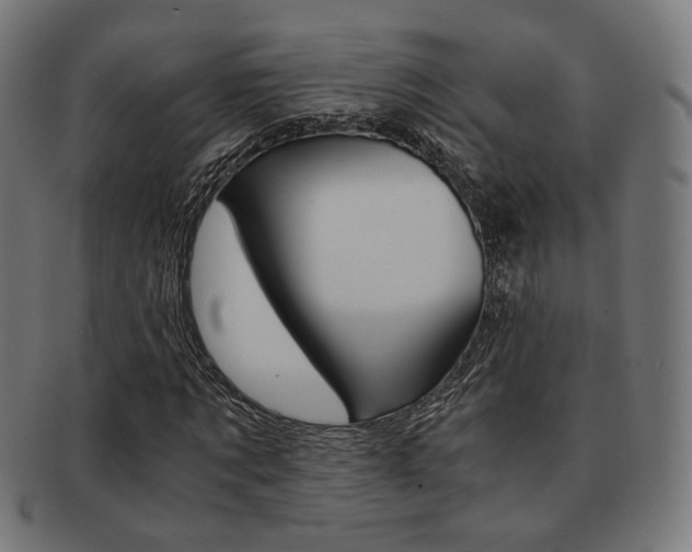 X0000092020869200709061328