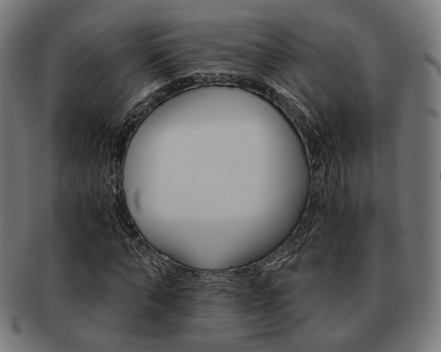 X0000092020870200709061328