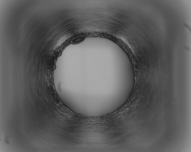 X0000092020871200709061328