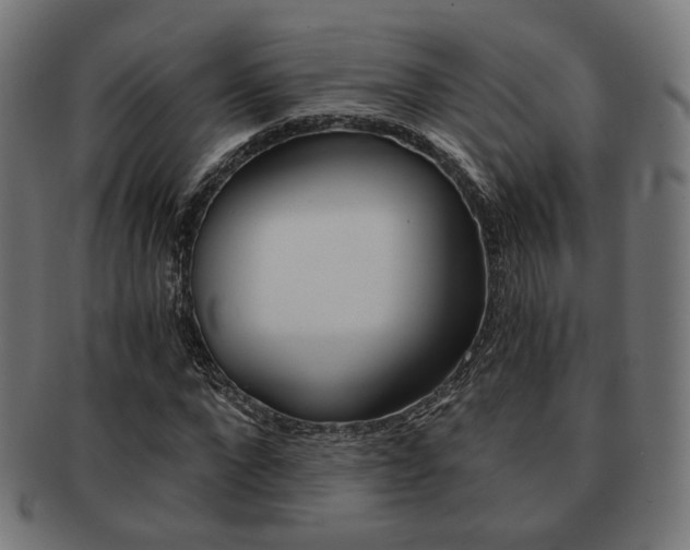 X0000092020872200709061328