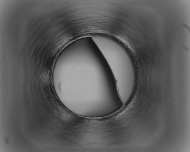 X0000092020873200709061328