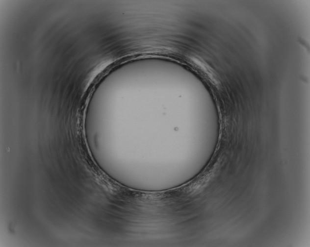 X0000092020875200709061328