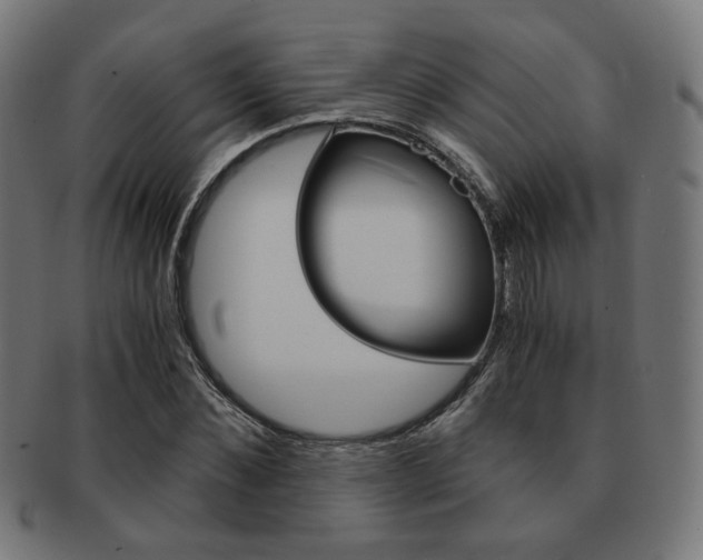 X0000092020876200709061328