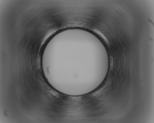 X0000092020878200709061328