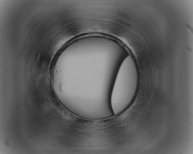 X0000092020879200709061328