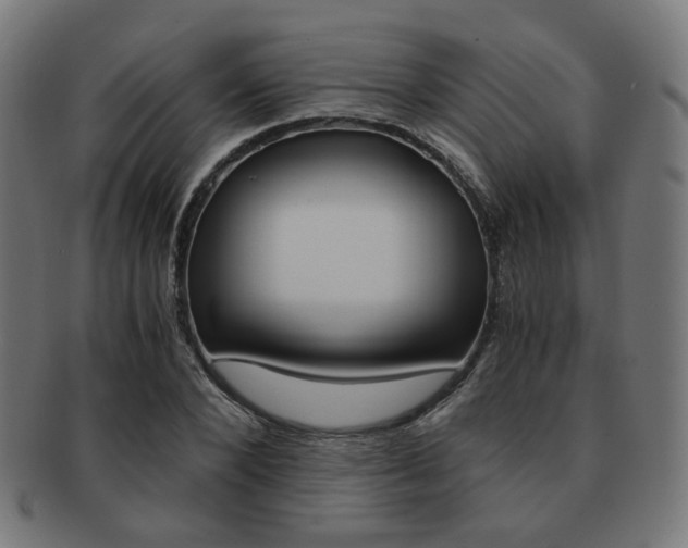 X0000092020880200709061328