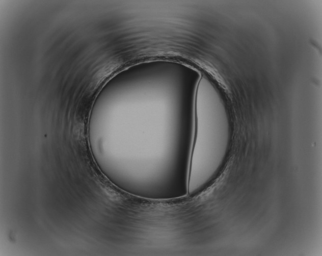 X0000092020881200709061328