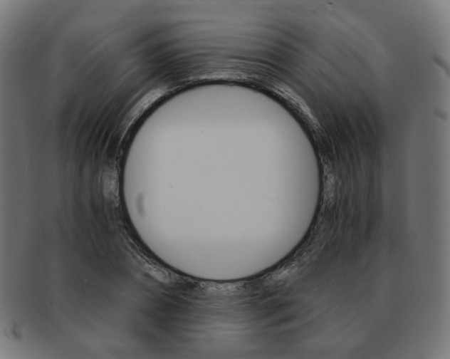 X0000092020882200709061328
