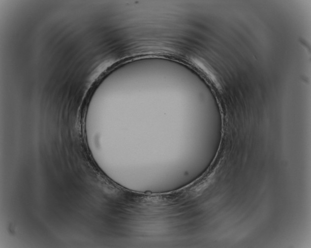 X0000092020883200709061328