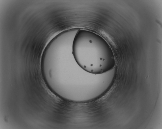 X0000092020884200709061328