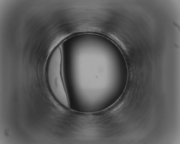 X0000092020885200709061328