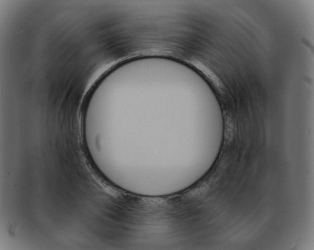 X0000092020886200709061328