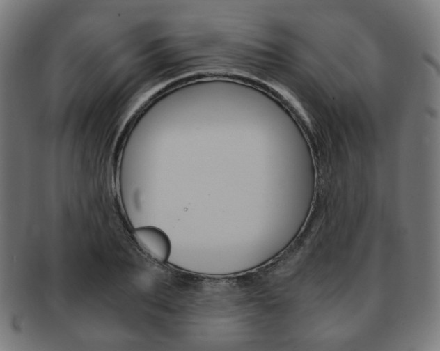X0000092020887200709061328