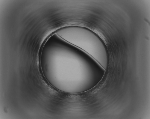 X0000092020888200709061328