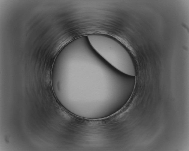 X0000092020889200709061328