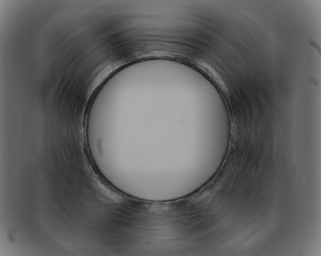 X0000092020890200709061327