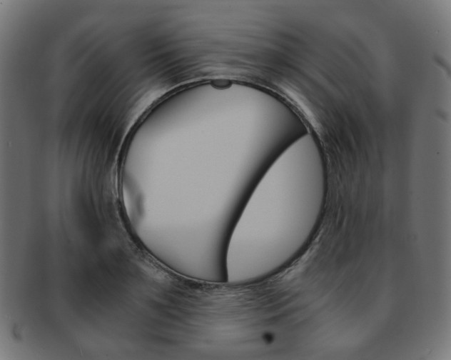 X0000092020891200709061327