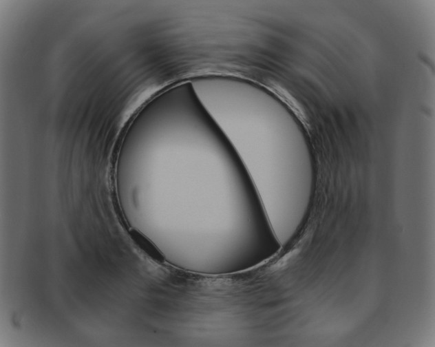 X0000092020893200709061327