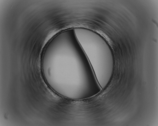 X0000092020894200709061327