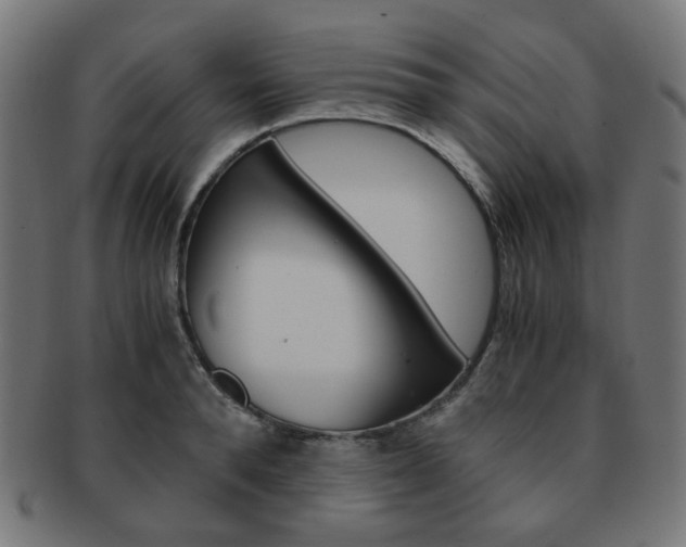 X0000092020896200709061327