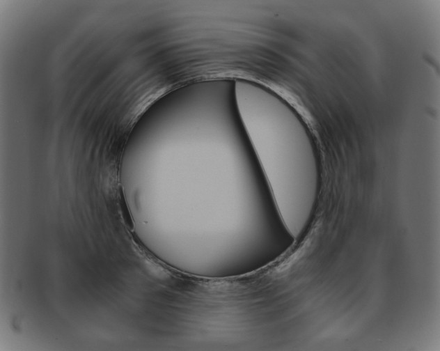 X0000092020897200709061327