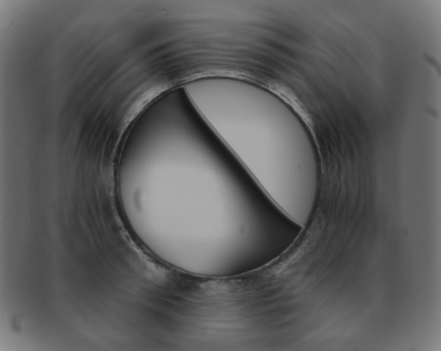 X0000092020898200709061327