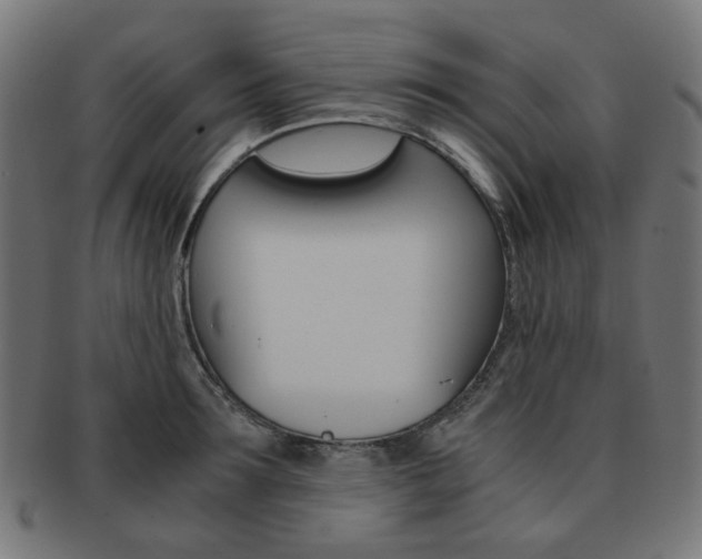X0000092020899200709061327