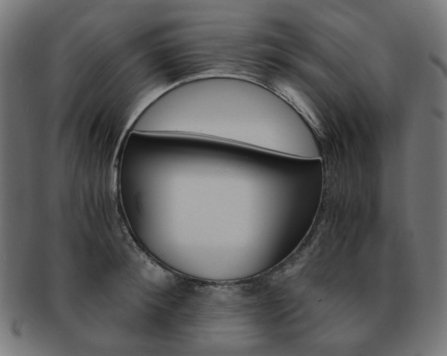 X0000092020900200709061327