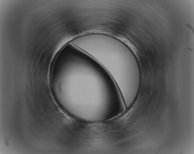 X0000092020902200709061327