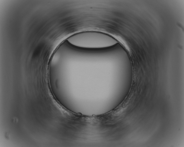 X0000092020903200709061327