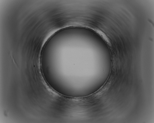 X0000092020904200709061327